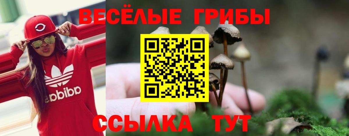 Галлюциногенные грибы мухоморы  Псилоцибиновые грибы ЛСД  наркошоп  Вход с VPN  Славгород 